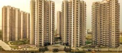 Adani Oyster Grande