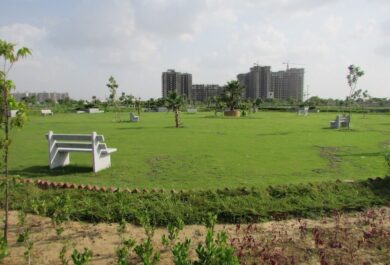 Uppal G99