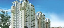 Indiabulls One 09 109 (15)