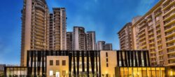 Indiabulls Enigma