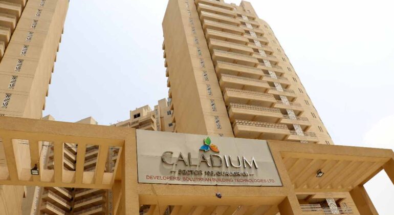 Jll Ggn Sbtl Caladium 101 Elv 2